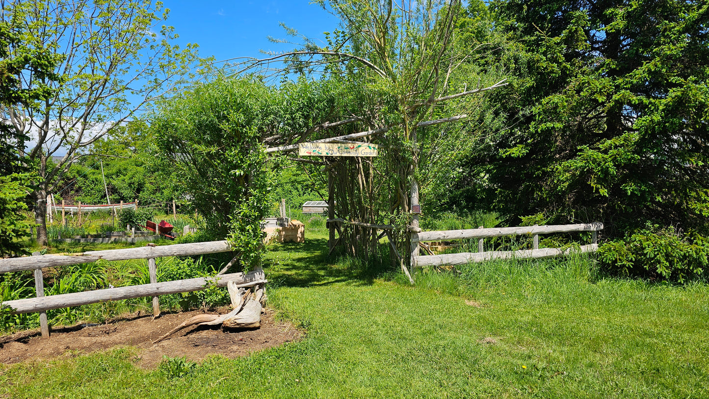 Stay at Rosefinch Mercantile!