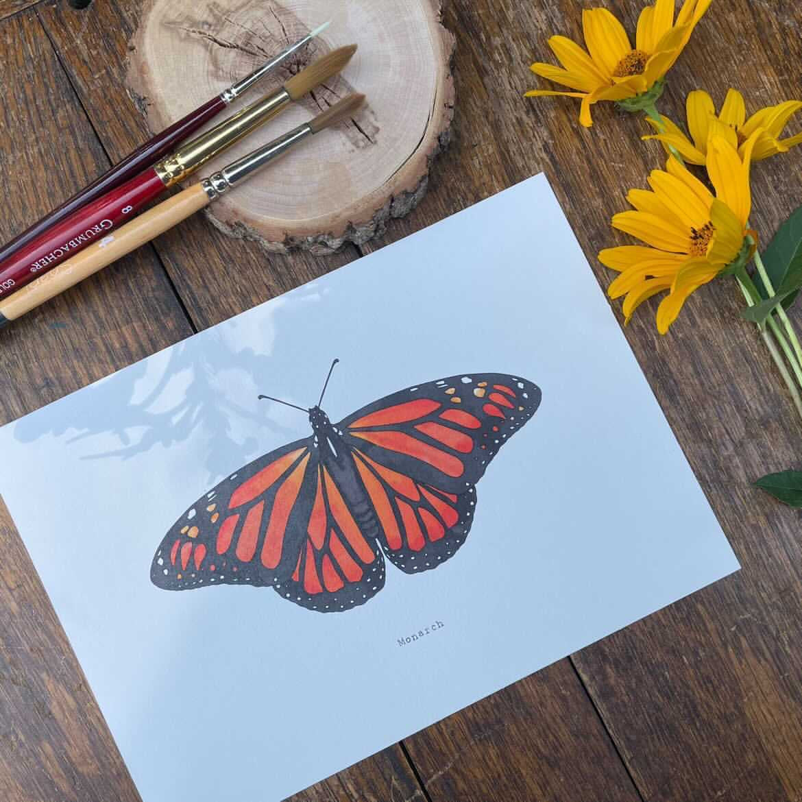 Beam Paint By Numbers Butterflies - Paint included!