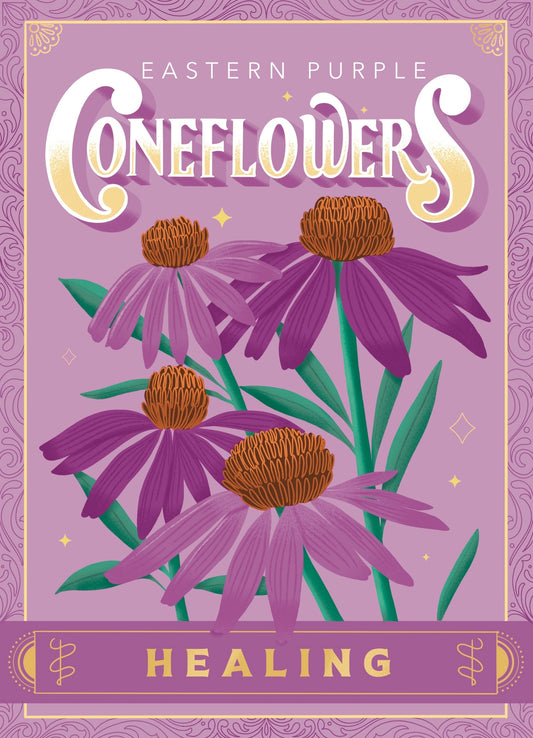 Purple Coneflowers Seeds
