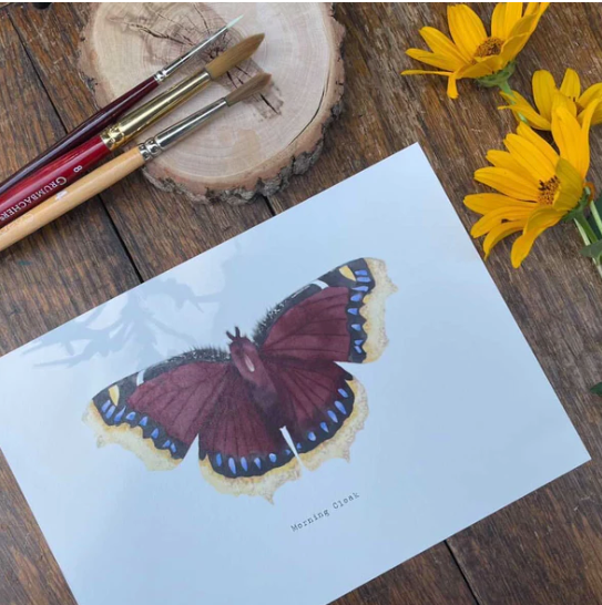 Beam Paint By Numbers Butterflies - Paint included!