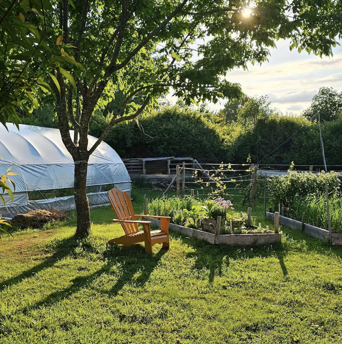 Stay at Rosefinch Mercantile!