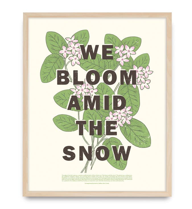 Mayflower Print / Postcard / Sticker