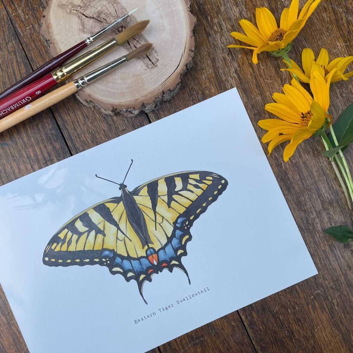 Beam Paint By Numbers Butterflies - Paint included!
