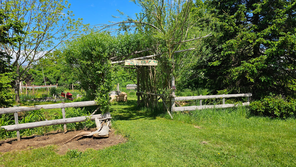 Stay at Rosefinch Mercantile