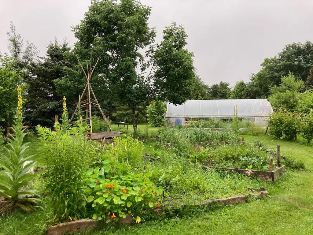 Stay at Rosefinch Mercantile