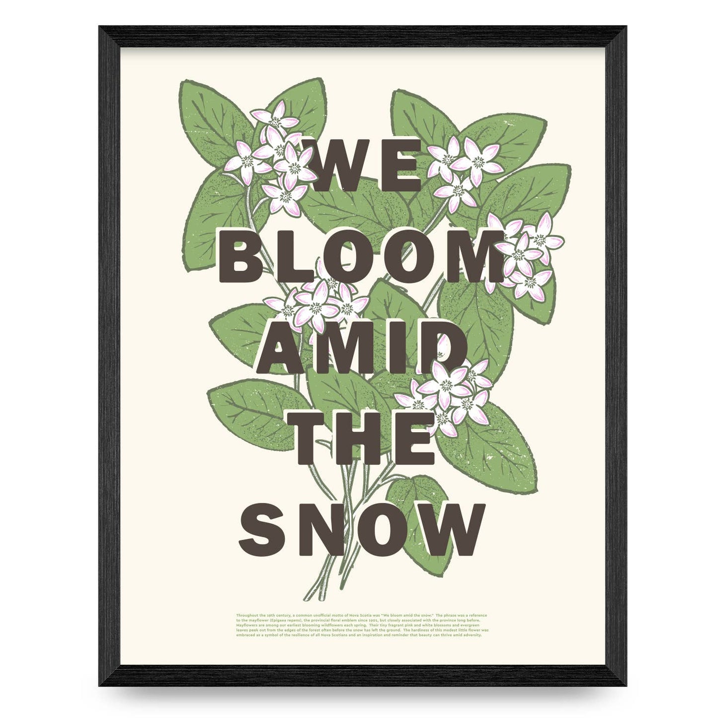 We Bloom Amid the Snow