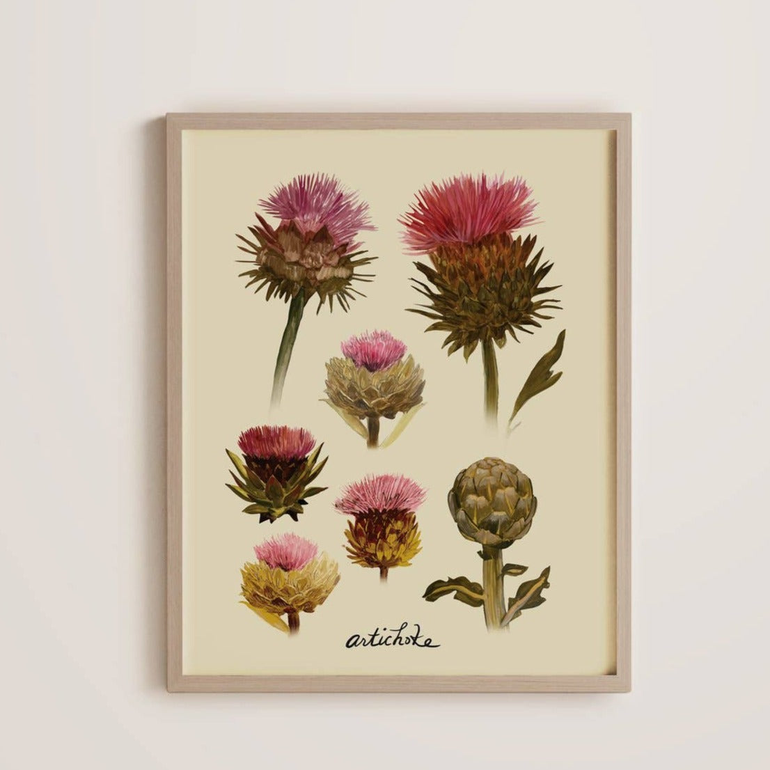 Artichoke Botanical Print