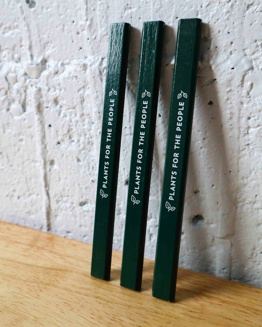 Carpenter Pencil : Plants for the People